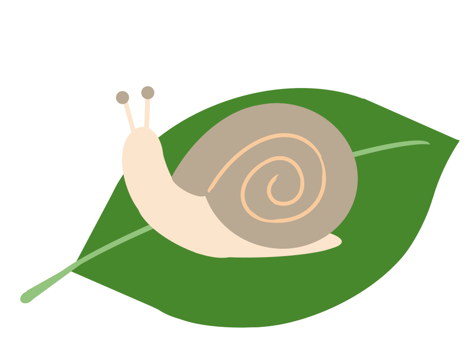 カタツムリ