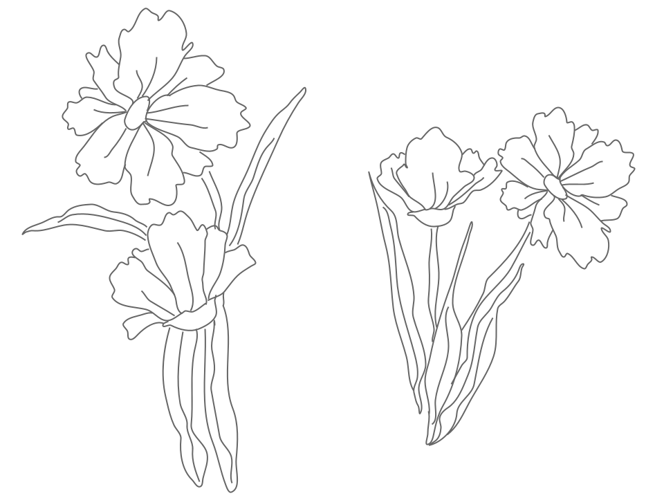 花２種