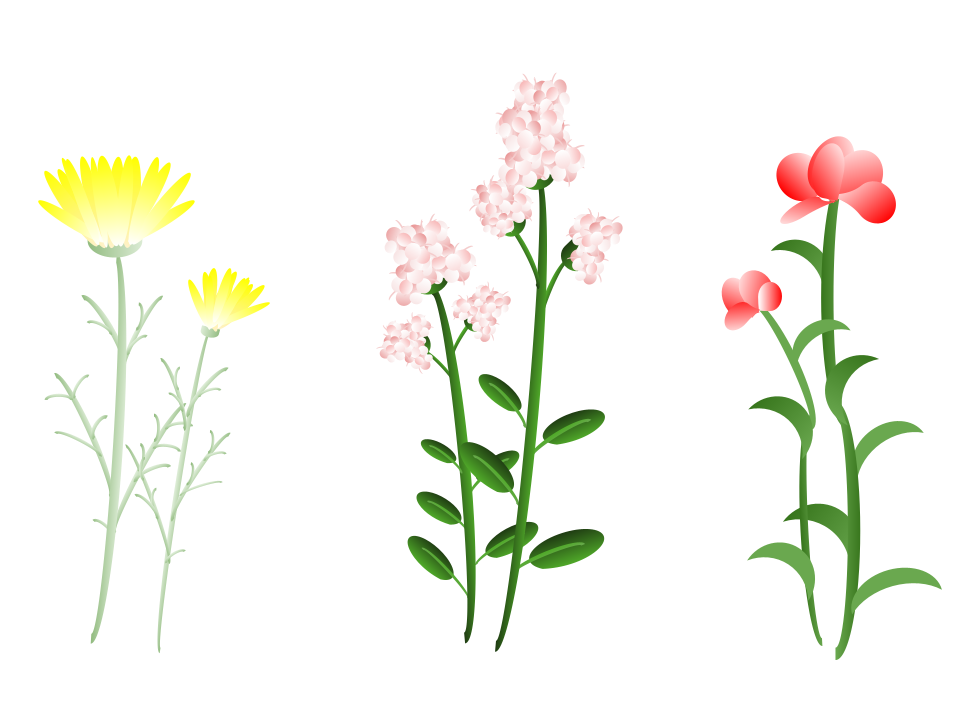 花３種