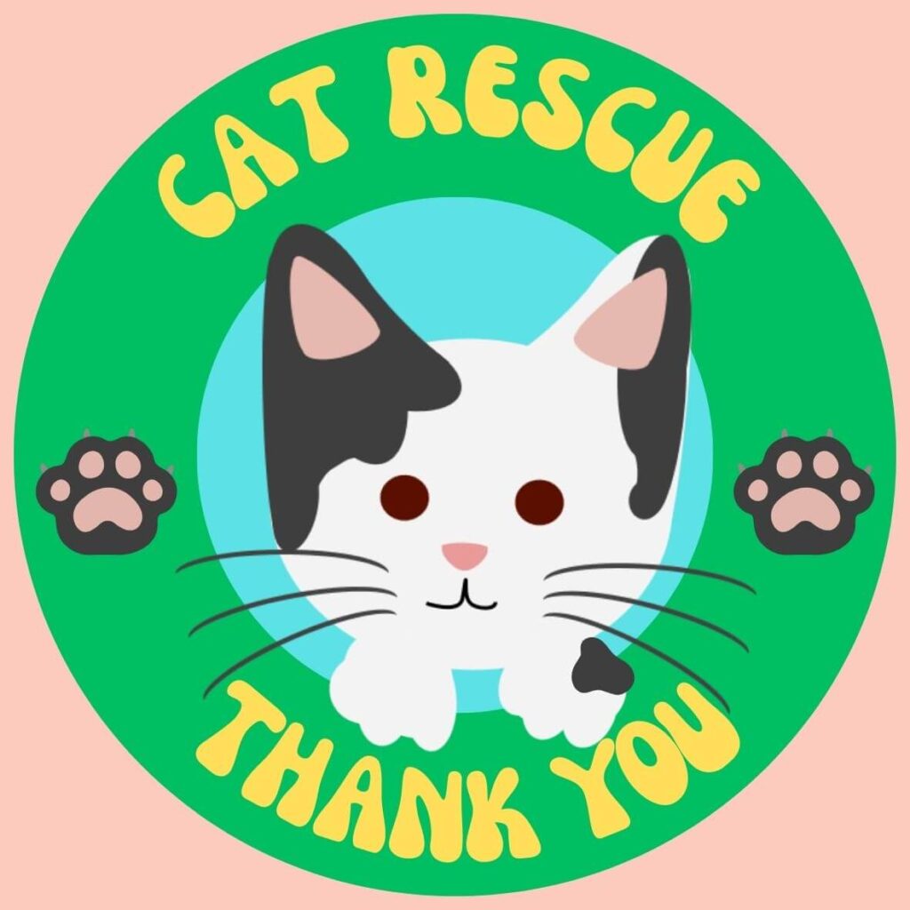 cat rescue2