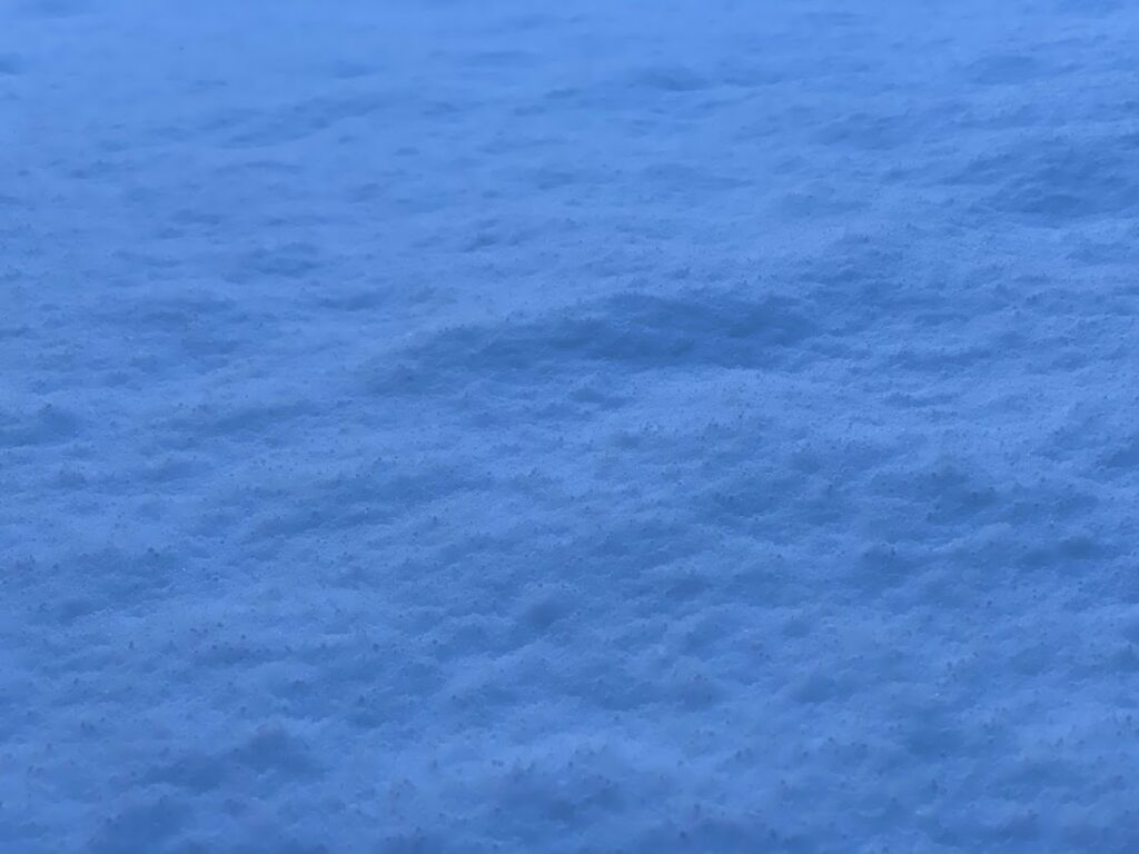 地面の雪