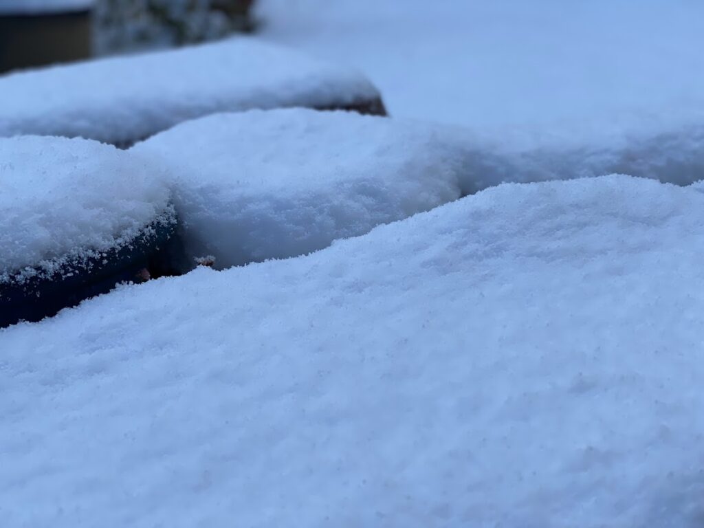 雪をかぶった石