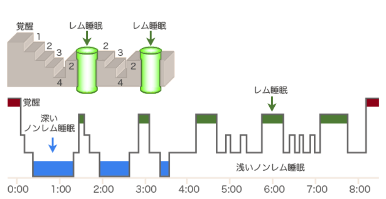 夜間の睡眠パターン