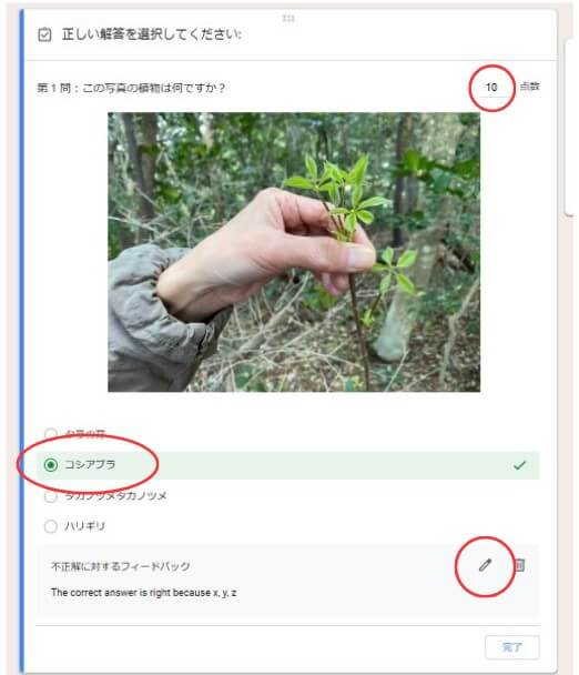 正解・得点編集