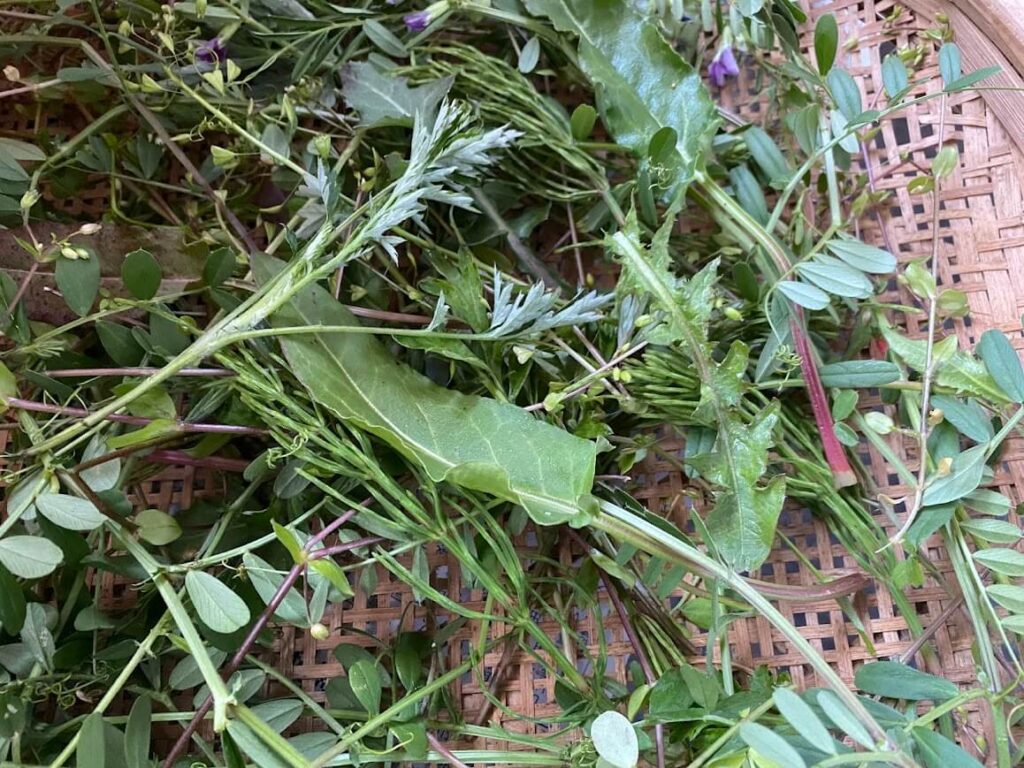 野草ブレンド