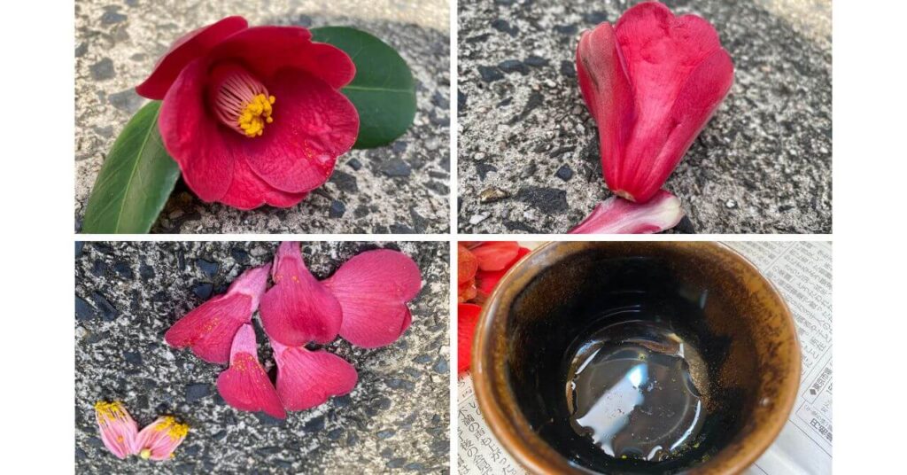 ツバキの花茶のまなまなバージョン