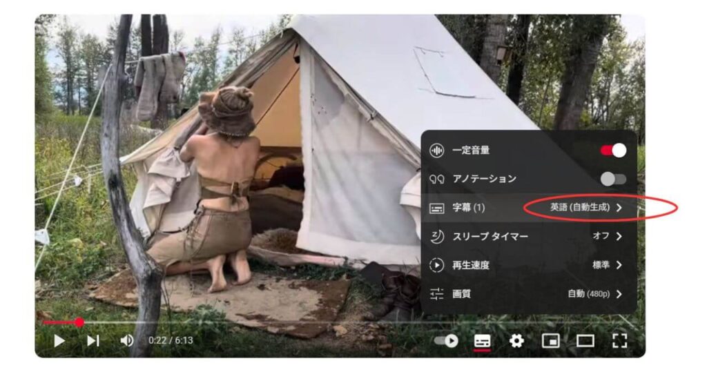 PC版字幕変更4
