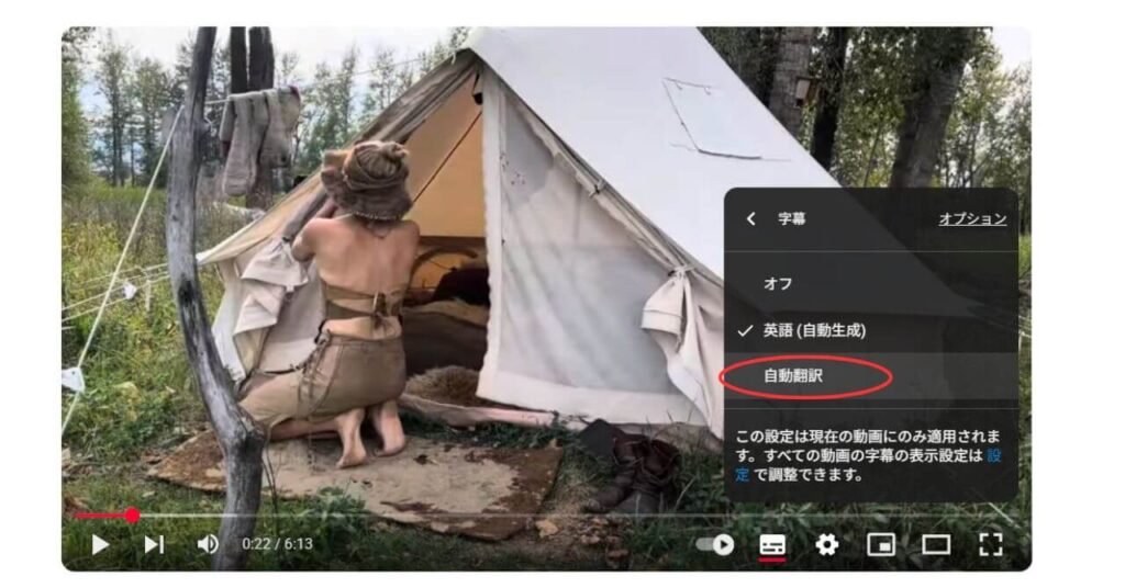 PC版字幕変更5
