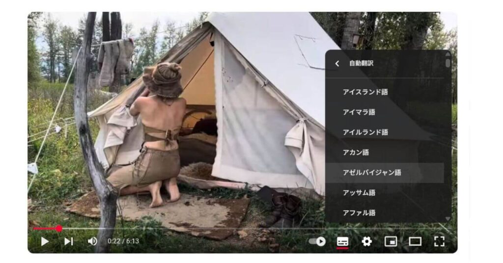 PC版字幕変更6