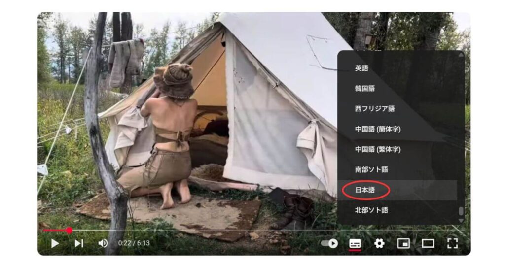 PC版字幕変更7