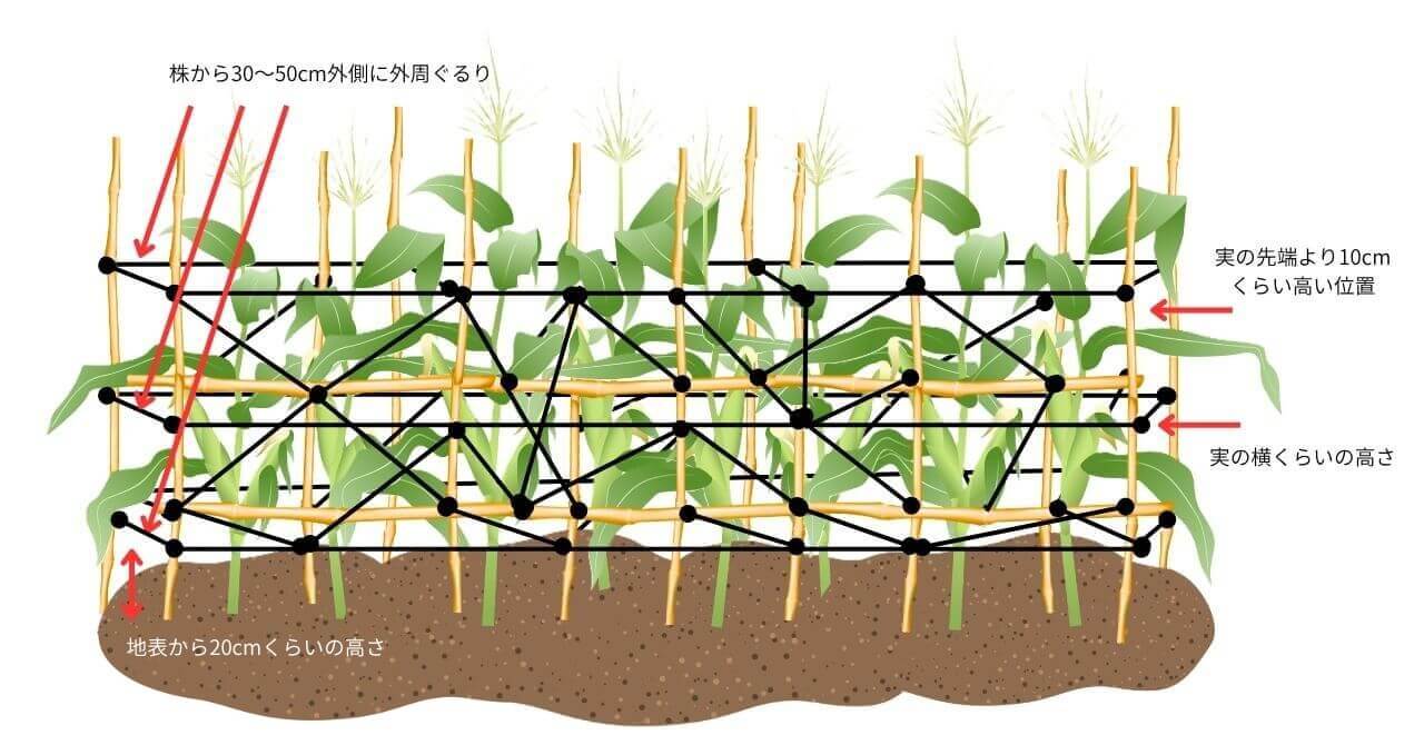 テグスを張る位置