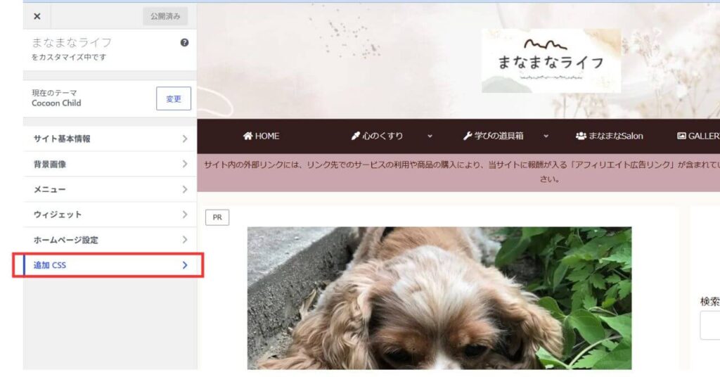 追加CSSのカスタマイズ２