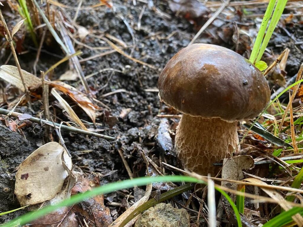 問題20