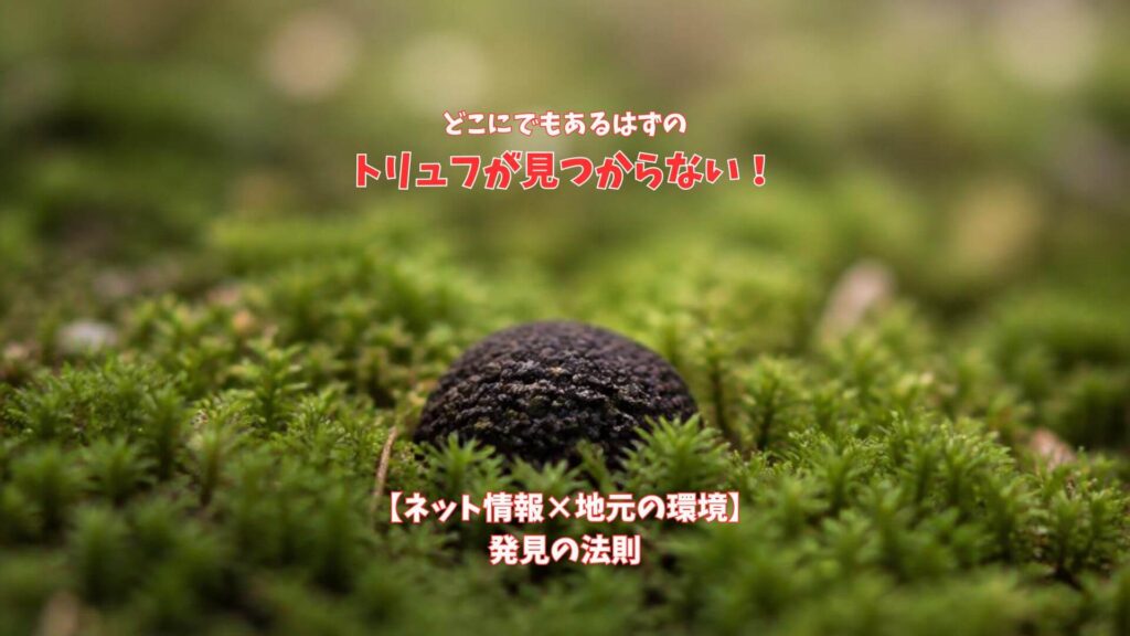ネット情報ｘ地元の環境＝トリュフ発見の法則